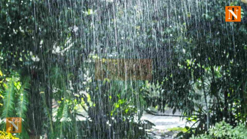Nagpur Weather Update: Monsoon Advances, Heavy Rain Expected This Week